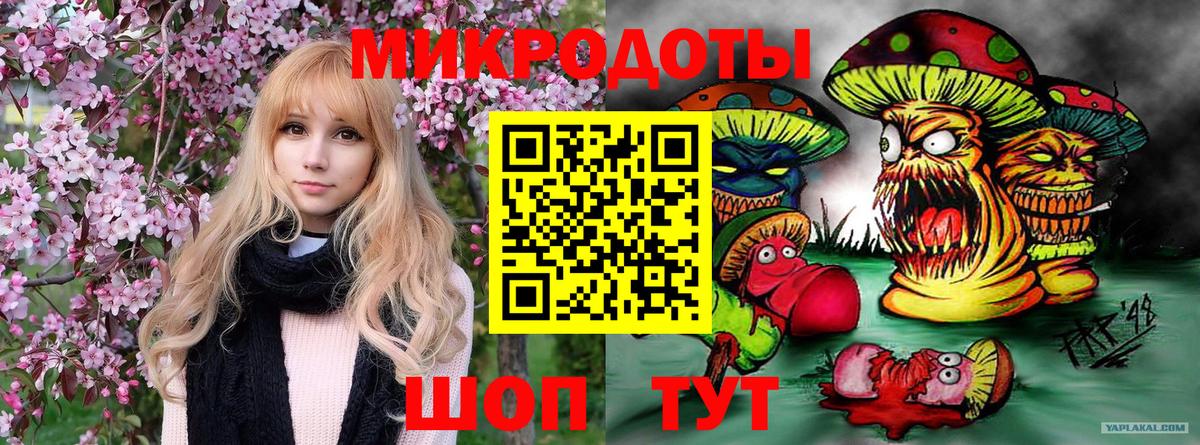 Богородицк  Галлюциногенные грибы мицелий  Вход с VPN 
