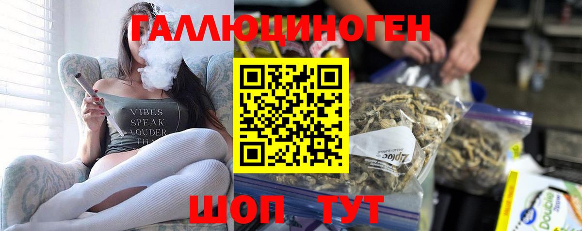 Галлюциногенные грибы Psilocybine cubensis Богородицк